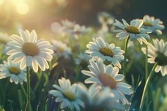 Flowers Background Wallpaper Product Image 1