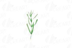 Lavender leaves and bouquets watercolor clip art pack Product Image 10