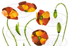 Watercolor Poppies Clipart Product Image 2