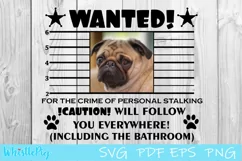 Dog Svg Cat Svg Pet Wanted Poster SVG Personal Stalker SVG Product Image 3
