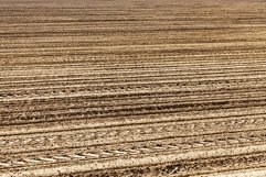 ploughed soil on which cereals are grown Product Image 1