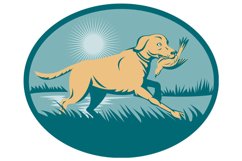 Retriever dog with bird on wetland Product Image 1