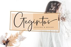 Web Font Heart Rabating Font Script Product Image 3