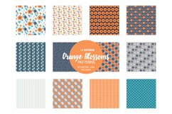 Orange Blossoms Pattern collection, vector ai, eps and jp Product Image 2