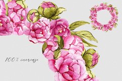 Watercolor floral set pink peony PNG Product Image 4