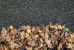 Autumn background, autumn dry leaves empty space Product Image 1