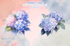 Hydrangea Flowers Watercolor Sublimation Clipart Product Image 3