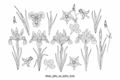 Irises and Columbine - spring flowers clipart and patterns Product Image 4