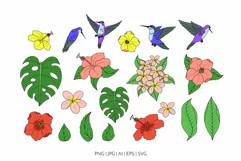 Hummingbirds and Tropical Flowers SVG Clipart & Patterns Product Image 5