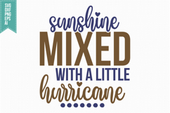 Sarcastic SVG Bundle, Funny Sarcasm Quotes Svg Designs Product Image 10