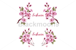 Pink Sakura Monograms Product Image 1