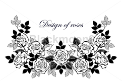 Frame of contour roses Product Image 1