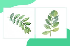 Swiss Cheese, ZZ Plant Leaves Watercolor Product Image 2