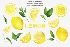 Watercolor lemons set. Citrus clipart, compositions, wreaths Product Image 2