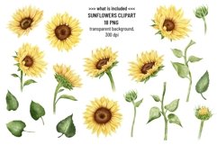 Sunflower clipart. Watercolor flower. Summer floral PNG Product Image 2