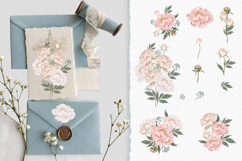 Pink peony vector patterns Product Image 2