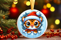 Round Christmass Ornament PNG Product Image 1