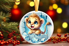 Round Christmass Ornament PNG Product Image 1