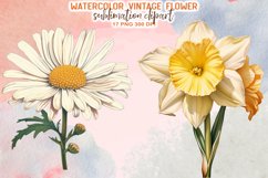 Vintage Flower Watercolor Sublimation Clipart Product Image 3