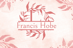 Vine Velvet Split Monogram - Botanical Split Serif Font Product Image 2