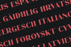 Story Type Bold Headline Serif Font Product Image 3