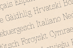 Lonely Moon Elegant Handdrawn Serif Font Product Image 3