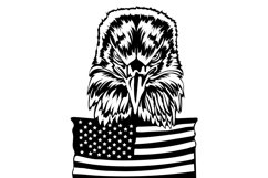 Eagle Svg/Png/Jpg/Ai/Vector birds/American flag with eagle Product Image 3
