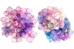 14 Watercolor Hydrangea Flowers Clipart Bundle, Pink Purple Product Image 4
