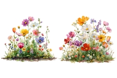 14 Watercolor Wildflower Clipart Bundle, Botanical Flowers Product Image 4
