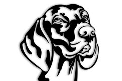 Weimaraner dog Bundle/Dog Svg/Png/Jpg/Ai/Weimaraner dog Cut Product Image 6