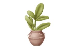 Potted Plants Product Image 1