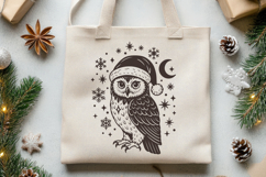 Christmas Owl SVG | Festive Owl in Santa Hat with Snowflakes Product Image 3