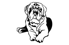Mastife dog/Mom Mastife/Dog Svg/Png/Jpg/Ai/Vector pet Product Image 3