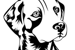 Dalmantian Dog/Dog Svg/Png/Jpg/Ai/Cut Dalmantian Portrait Product Image 3