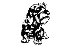Wirehaired Dachshund Svg/Png/Jpg/Ai/Vector purebred breed Product Image 3