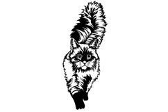 Cute Cat Svg/Png/Jpg/Ai/Vector cat/Pet Svg/The look of a cat Product Image 3