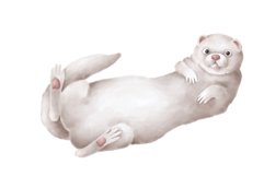 Whimsical Ferret Product Image 1