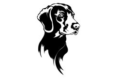 Weimaraner dog/Dog Svg/Png/Jpg/Ai/Vector purebred breed/Pet Product Image 3