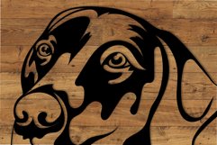 Weimaraner dog Bundle/Dog Svg/Png/Jpg/Ai/Weimaraner dog Cut Product Image 11