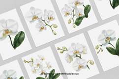 15 Bundle Watercolor Orchid Flower Blossom Botanical Product Image 3