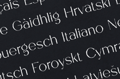 Garner Organic Handmade Serif Font Product Image 3
