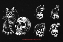 10 Bundle Dark Art Skull Cat Kitten Animal Pet Horror Scary Product Image 5