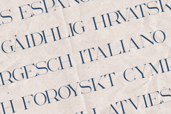 Akros Elegant Serif Font Product Image 3