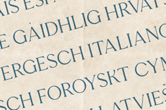 Esque Soft Elegant Serif Font Product Image 3