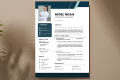 26 Professional Resume CV - Canva Product Image 2