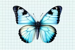 Butterfly clipart, Butterfly PNG, Butterfly painting Product Image 4