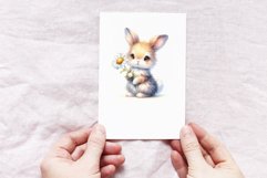 Baby Bunny Product Image 4