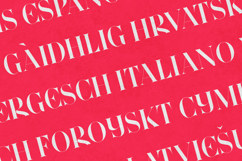 Wonderz Edge Elegant Modern Serif Font Product Image 3