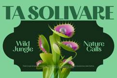 TA Solivare Product Image 3