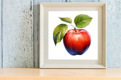 Watercolor Apple Clipart Product Image 3